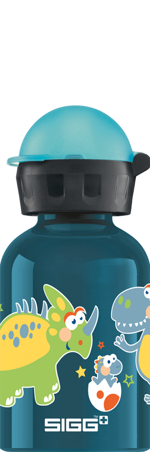 Kids Water Bottle Small Dino 0.3 L